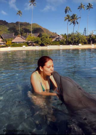 si & dolphin kissFINAL