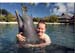 lenny & dolphin hugFINAL