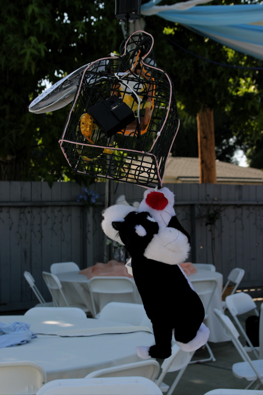chris IMG_0408
