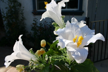 JAMIEIMG_9390