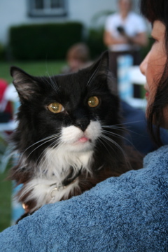 NINO IMG_0881